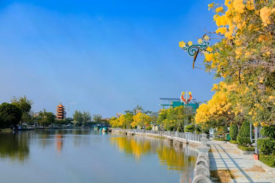 Đường hoa vàng soi mình xuống dòng sông tạo nên vẻ đẹp hiếm có. ẢNH: XUYÊN VÕ