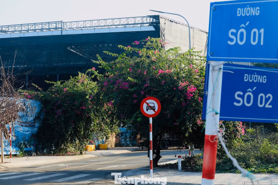 Không cần dàn dựng, những con đường ở khu tái định cư Vĩnh Trường, phường Nam Nha Trang nhanh chóng trở thành điểm check-in được du khách tìm đến.