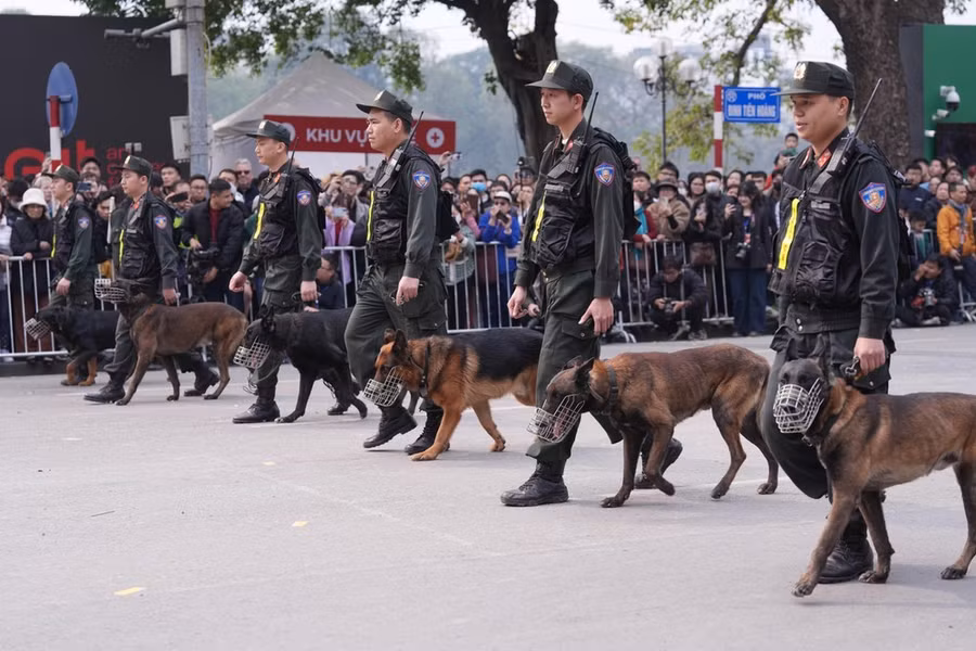 Nhiều người chờ đợi màn huấn luyện chó nghiệp vụ tấn công tội phạm nguy hiểm, có vũ khí nóng