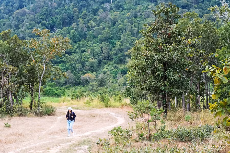 4tthung-lung-ia-drang-tung-la-chien-dia-nay-tran-ngap-mau-xanh-cay-rung.jpg