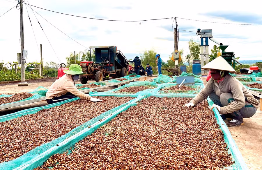 ca-phe-dac-san-chinh-phuc-thi-truong-kho-tinh-dd.jpg