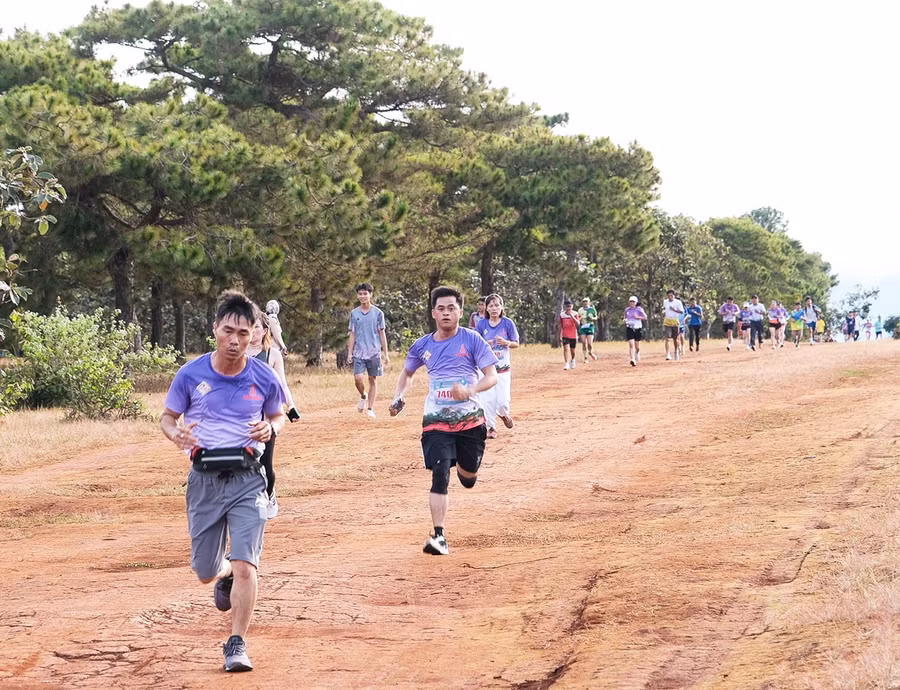 chay-dong-hanh-cung-di-san-dia-phuong.jpg