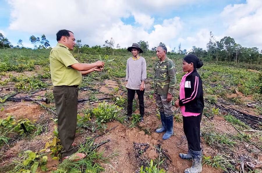 huy-dong-nguon-luc-phu-xanh-dat-trong-doi-troc-dd.jpg