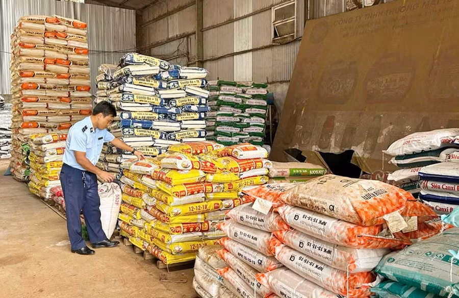 Lực lượng Quản lý thị trường kiểm tra một cơ sở kinh doanh phân bón. Ảnh: ĐVCC