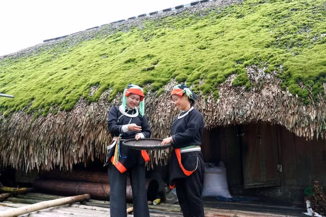 Phụ nữ Dao bên ngôi nhà mái rêu vùng biên giới Thanh Thủy (Tuyên Quang). (Ảnh: Đức Thọ/TTXVN)