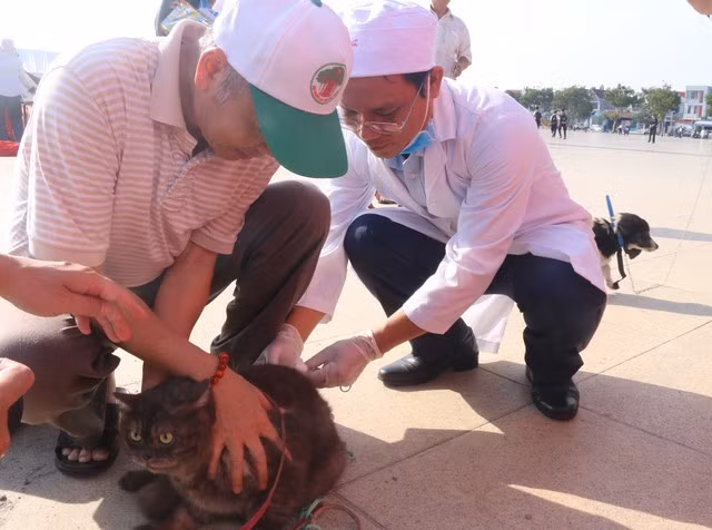 Người dân thực hiện tiêm phòng cho chó, mèo
