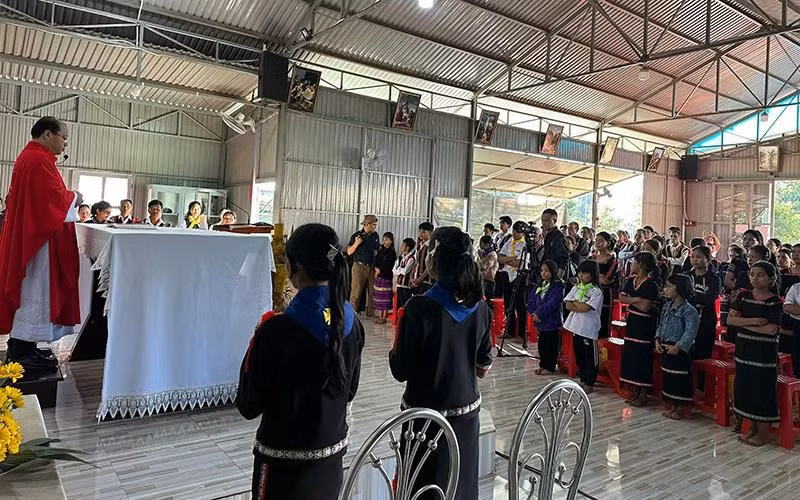 nhung-nhan-dinh-sai-su-that-dd.jpg
