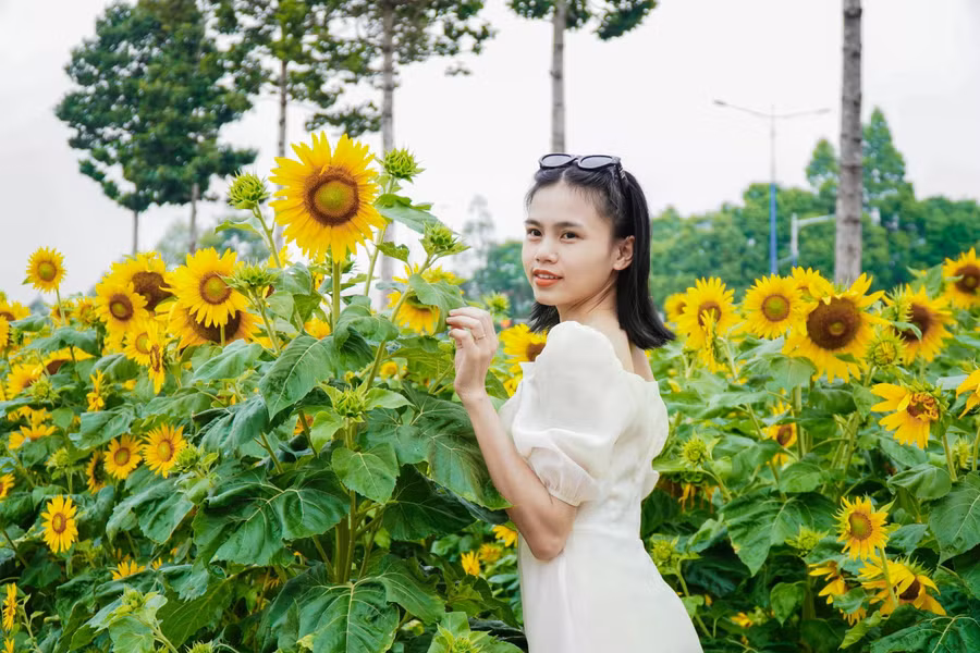 Ngọc Mai chụp hình cùng hoa hướng dương. ẢNH: PHAN HƯƠNG