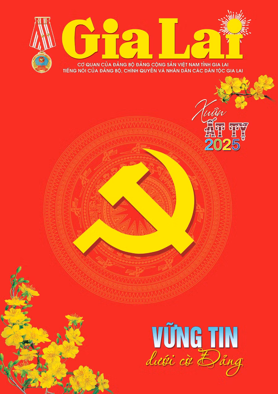 bia-bao-gia-lai-xuan.jpg