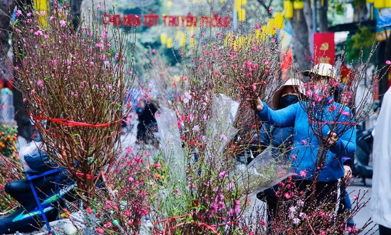 Chợ hoa Hàng Lược, Hà Nội. (Ảnh: VGP)