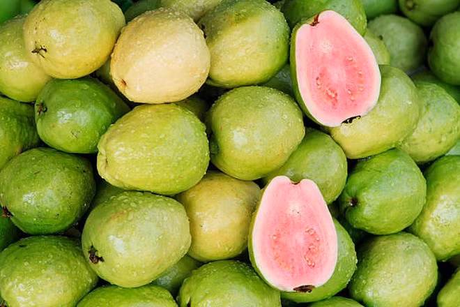 Ổi - trái cây giàu vitamin C và protein “ẩn mình”