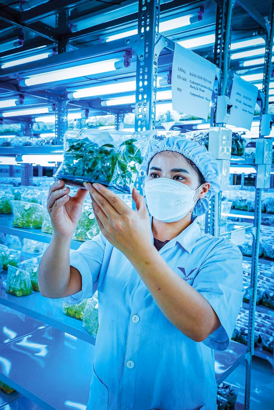 Phong trào thi đua lao động sáng tạo tại Công ty Cổ phần Dược - Trang thiết bị y tế Bình Định (Bidiphar) được duy trì thường xuyên, góp phần nâng cao hiệu quả sản xuất, nghiên cứu và phát triển sản phẩm mới.