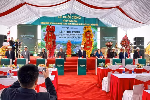 Khởi công tổ hợp chăn nuôi heo 3.615 tỷ đồng tại xã Pờ Tó