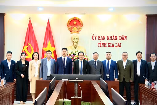 Chủ tịch UBND tỉnh Phạm Anh Tuấn làm việc với Tập đoàn Muyuan