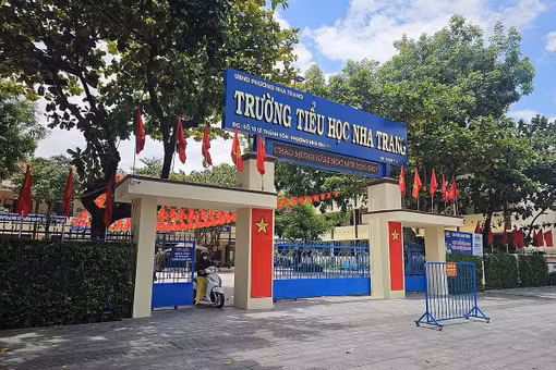 114 trường có trên 100 lớp sau sắp xếp: Chính phủ yêu cầu rà soát, điều chỉnh