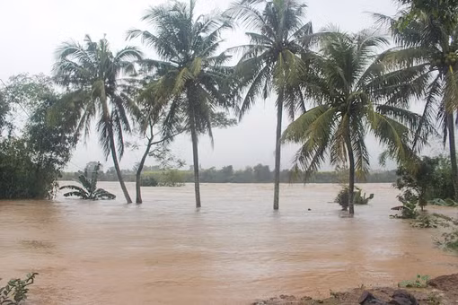 Gia Lai: Cảnh báo mưa lớn trên 400 mm, chủ động ứng phó lũ quét, sạt lở đất
