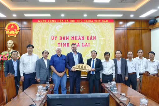 Gia Lai thúc đẩy hợp tác đầu tư Dự án Trung tâm dữ liệu
