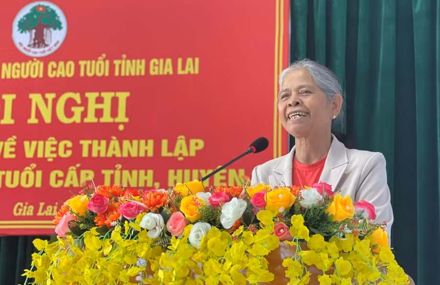 Trưởng ban đại diện Hội Người cao tuổi tỉnh Rơ Châm Hyéo phát biểu tại hội nghị. Ảnh: P.D Trưởng ban đại diện Hội Người cao tuổi tỉnh Rơ Châm Hyéo phát biểu tại hội nghị. Ảnh: P.D