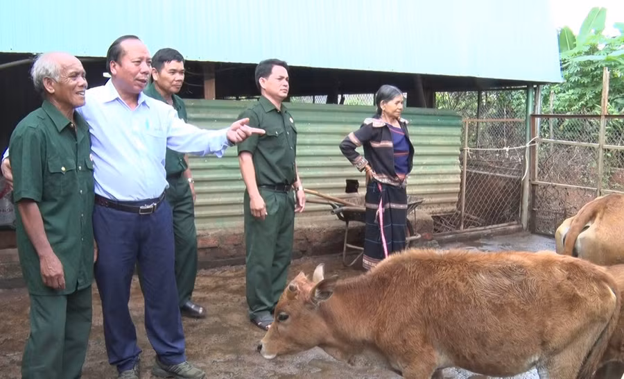 Chủ nhiệm CLB "Cựu chiến binh sản xuất, kinh doanh giỏi" huyện Đức Cơ (áo trắng) Nguyễn Thành Long trò chuyện cùng cựu chiến binh Rơ Mah Duen (ngoài cùng bên trái). Ảnh: P.D