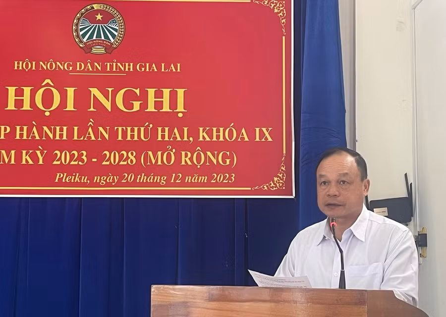 Phó Chủ tịch UBND tỉnh Dương Mah Tiệp phát biểu tại hội nghị. Ảnh: Anh Huy