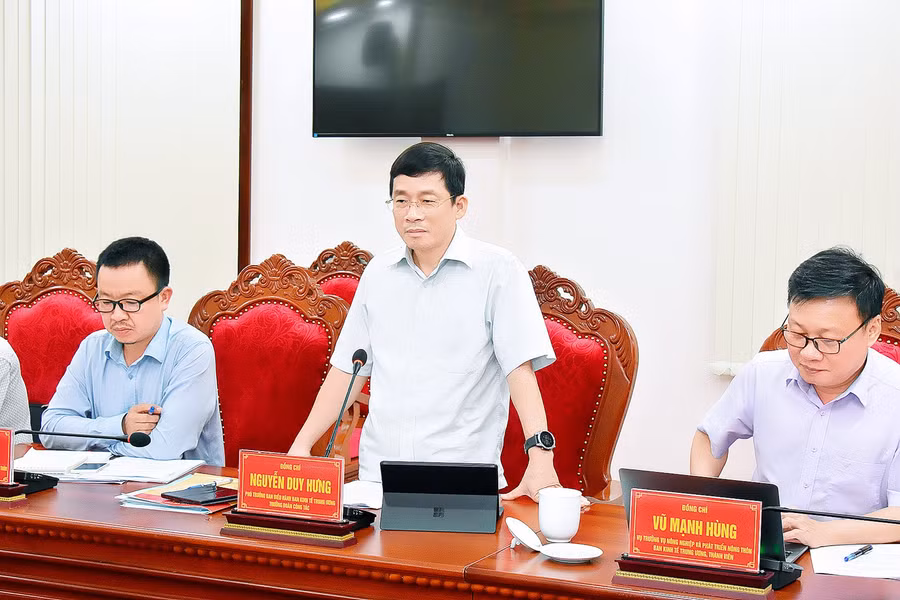Ông Nguyễn Duy Hưng-Phó Trưởng Ban điều hành Ban Kinh tế Trung ương phát biểu tại buổi làm việc. Ảnh: Đức Thụy