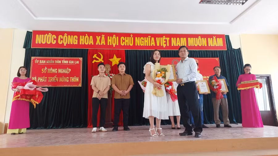 Lãnh đạo Sở Nông nghiệp và PTNT trao chứng nhận sản phẩm OCOP 4 sao cấp tỉnh. Ảnh: Nguyễn Diệp