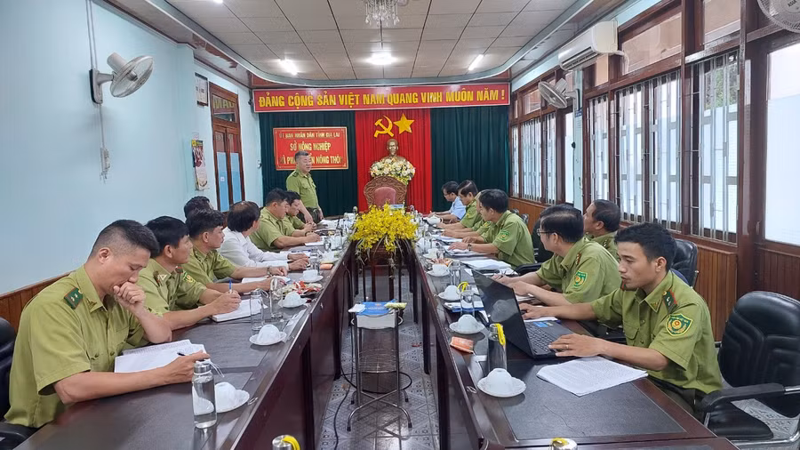 Quang cảnh buổi làm việc giữa đoàn công tác với lãnh đạo Sở Nông nghiệp và PTNT, Chi cục Kiểm lâm và một số đơn vị chủ rừng. Ảnh: Nguyễn Diệp