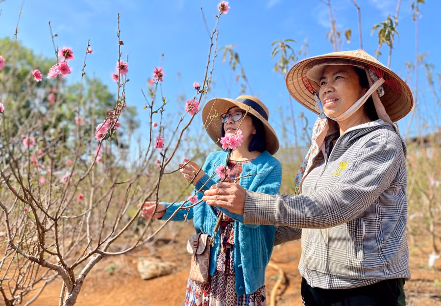 Ảnh: Vũ Thảo