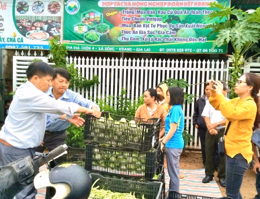 Đa phần các HTX của huyện Kbang hoạt động cầm chừng, chưa mang lại hiệu quả cao. Ảnh: Minh Nguyễn