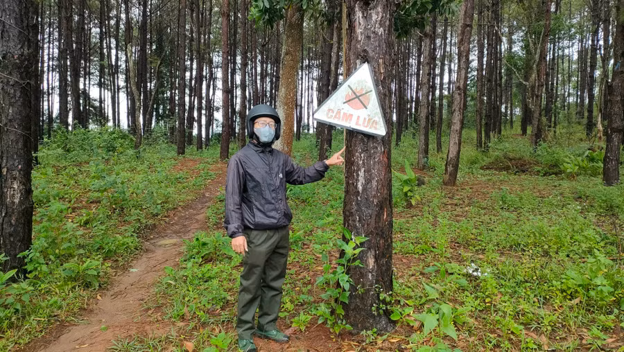 Khu đất tranh chấp giữa Phan Anh Tuấn và Ban Quản lý rừng phòng hộ Bắc Biển Hồ. Ảnh: T.D