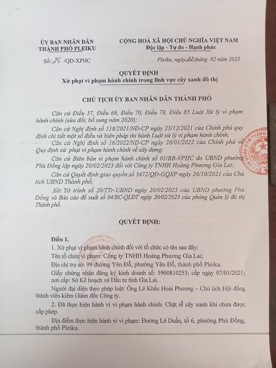 Quyết định xử phạt Công ty TNHH Hoàng Phương Gia Lai do UBND thành phố Pleiku ban hành. Ảnh: Nguyễn Tú