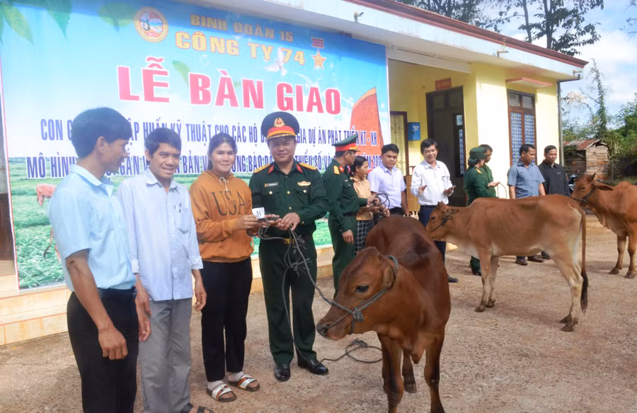 Bàn giao bò cho người dân đưa về chăm sóc. Ảnh: Vĩnh Hoàng