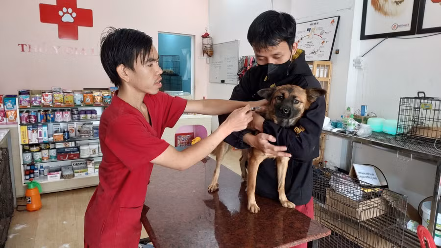 UBND tỉnh Gia Lai yêu cầu các địa phương bố trí kinh phí phòng- chống dịch bệnh động vật năm 2024. Ảnh: Như Nguyện UBND tỉnh Gia Lai yêu cầu các địa phương bố trí kinh phí phòng- chống dịch bệnh động vật năm 2024. Ảnh: Như Nguyện