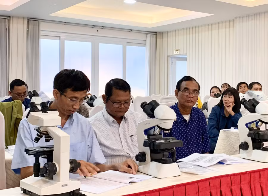 Các học viên được giảng viên cập nhật kiến thức và kỹ năng thực hành về chẩn đoán sốt rét bằng kính hiển vi và test chẩn đoán nhanh sốt rét. Ảnh: Như Nguyện