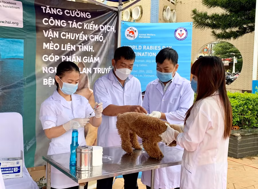 Người dân nuôi chó, mèo cần tiêm vắc xin phòng dại cho chó, mèo theo quy định. Ảnh: Như Nguyện