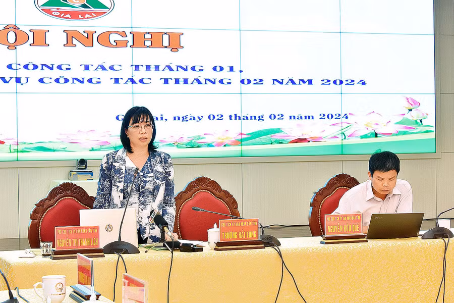 Phó Chủ tịch UBND tỉnh Nguyễn Thị Thanh Lịch phát biểu chỉ đạo tại hội nghị. Ảnh: Đức Thụy