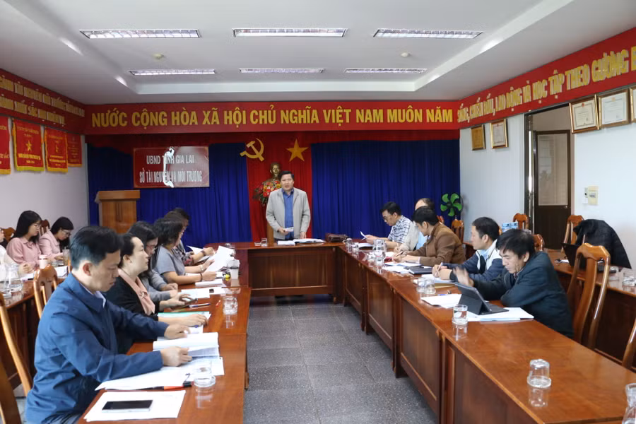 Quang cảnh buổi khảo sát. Ảnh: Quang Tấn