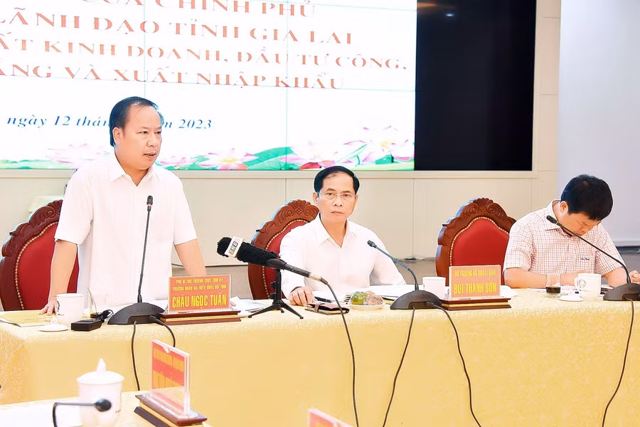 Phó Bí thư Thường trực Tỉnh ủy, Trưởng đoàn đại biểu Quốc hội tỉnh Châu Ngọc Tuấn phát biểu tại buổi làm việc. Ảnh: Đức Thụy