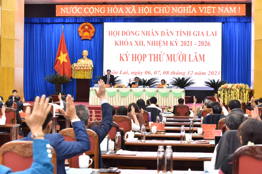 Các đại biểu biểu quyết thông qua nghị quyết. Ảnh: Đức Thụy