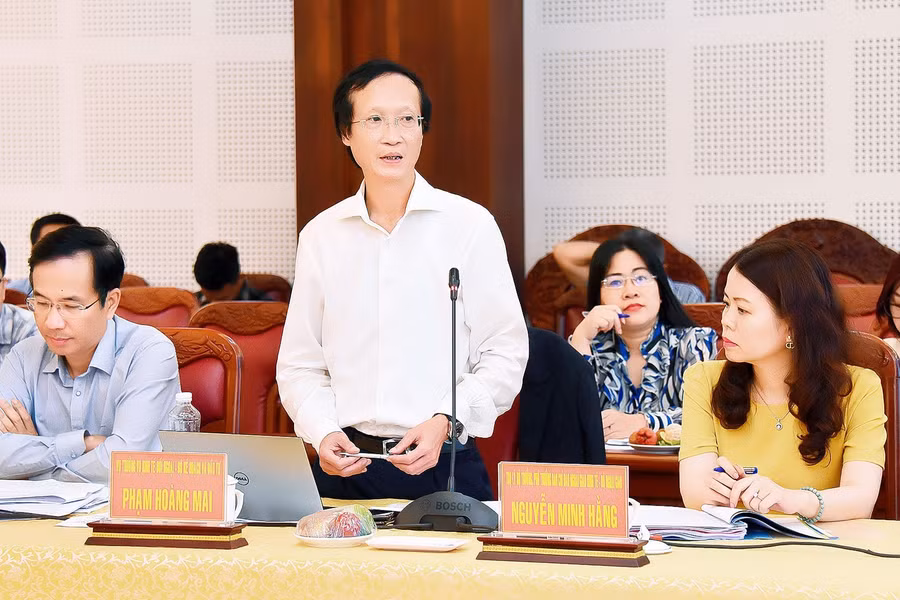 Vụ trưởng Vụ Kinh tế đối ngoại Bộ Kế hoạch và Đầu tư Phạm Hoàng Mai phát biểu tại buổi làm việc. Ảnh: Đức Thụy
