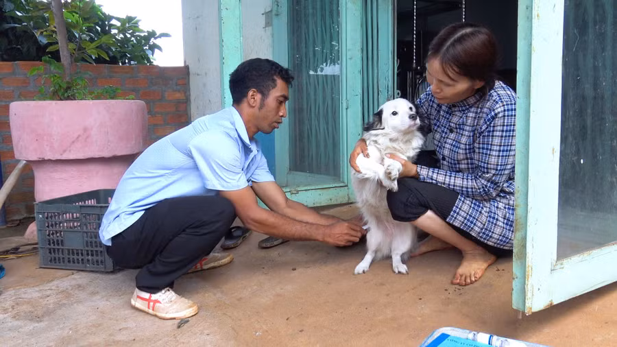 Cán bộ thú y thị trấn Chư Prông tiêm phòng vắc xin dại cho đàn chó ở làng Bò. Ảnh: Nhật Hào Cán bộ thú y thị trấn Chư Prông tiêm phòng vắc xin dại cho đàn chó ở làng Bò. Ảnh: Nhật Hào