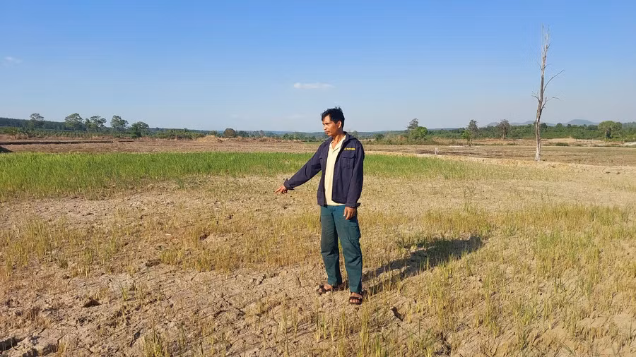 Các cấp ngành và địa phương cần có biện pháp ngăn chặn, giảm thiểu tối đa quá trình sa mạc hóa, hạn hán trên địa bàn. Ảnh: Nhật Hào