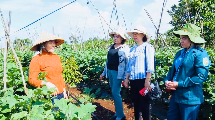 Các cấp mặt trận và các tổ chức thành viên cũng tích cực phối hợp với các phòng ban chuyên môn thuộc huyện và UBND các xã, thị trấn vận động người dân cải tạo vườn tạp, sử dụng các giống cây trồng mới có chất lượng cao và áp dụng các tiến bộ khoa học kỹ thuật để tăng hiệu quả sản xuất.