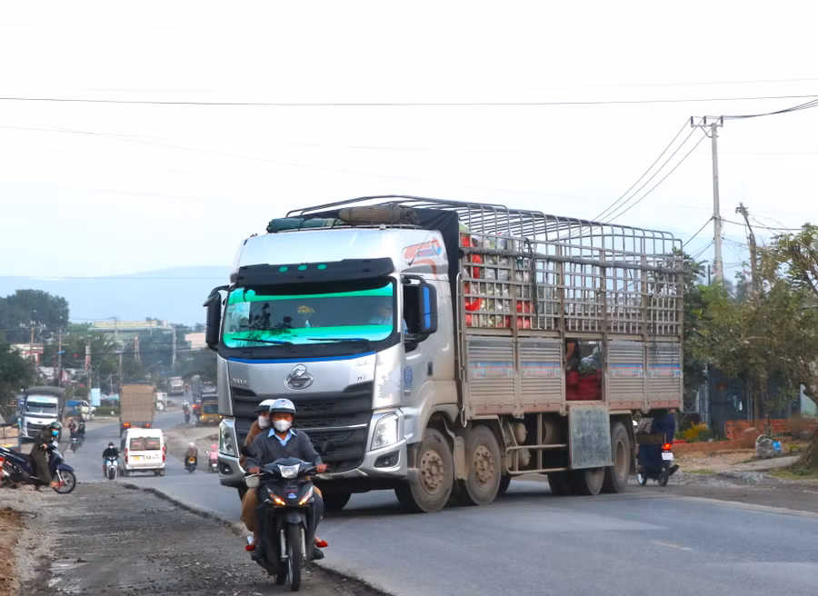 Vừa bốc xếp rau cho đại lý bên kia đường xe tải chuyển làn qua đường để tiếp tục công việc cho đến khi thùng đầy hàng hóa. Ảnh: Ngọc Minh Vừa bốc xếp rau cho đại lý bên kia đường xe tải chuyển làn qua đường để tiếp tục công việc cho đến khi thùng đầy hàng hóa. Ảnh: Ngọc Minh