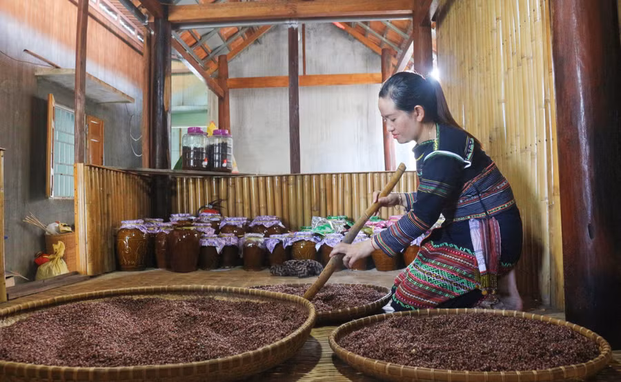 Chị Đinh Thị Đách (làng Đăk Giang 2, xã Đông, huyện Kbang) phơi hạt bo bo sau khi nấu chín để chuẩn bị ủ men rượu. Ảnh: Hà Duyệt