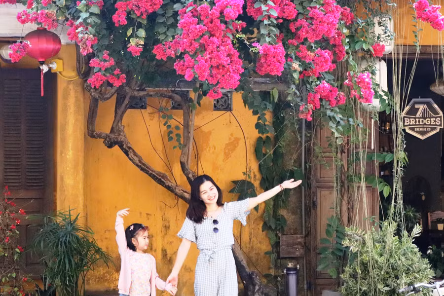 Check-in hoa giấy Hội An đẹp nhất thường được chụp vào lúc sáng sớm, khi ánh bình minh xuyên qua từng kẽ lá. Ảnh: Bảo Duy Check-in hoa giấy Hội An đẹp nhất thường được chụp vào lúc sáng sớm, khi ánh bình minh xuyên qua từng kẽ lá. Ảnh: Bảo Duy
