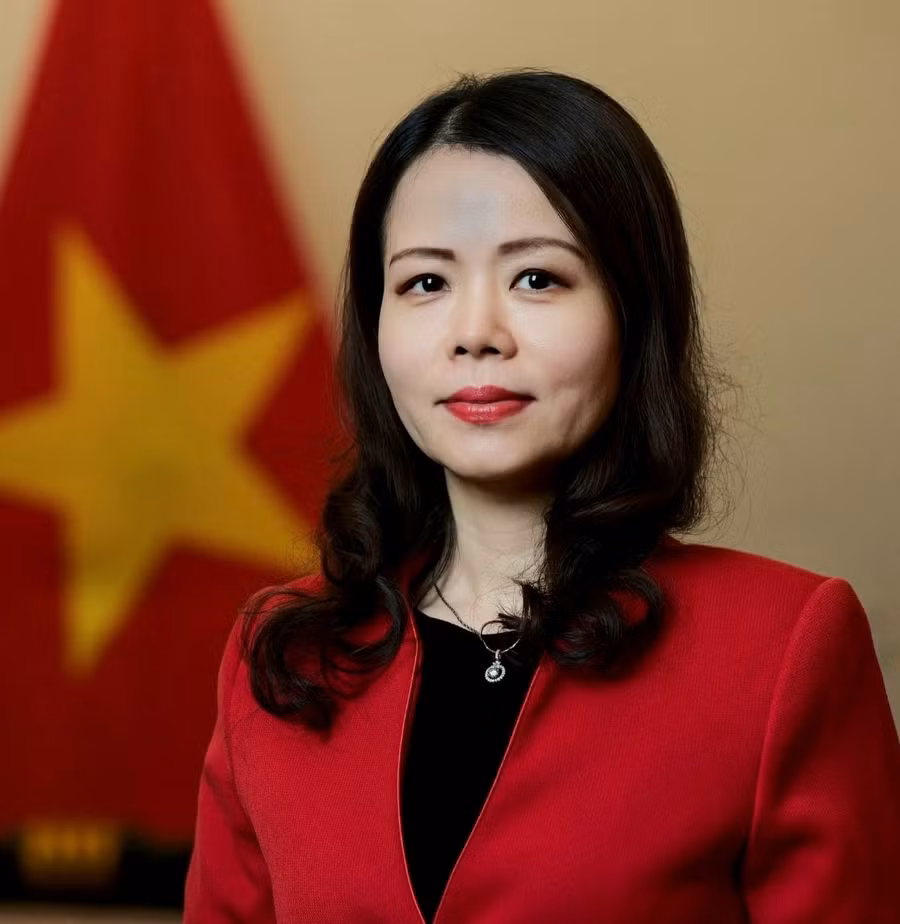 Tân Thứ trưởng Bộ Ngoại giao Nguyễn Minh Hằng (ảnh VGP)