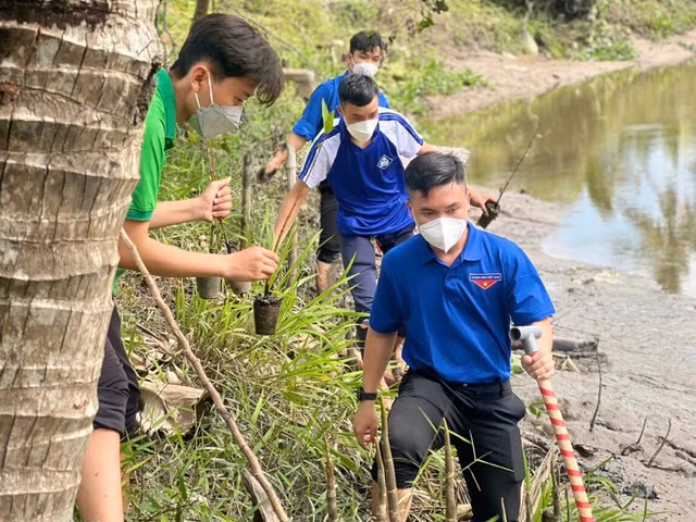 Nhân cùng các bạn trẻ trồng bần chống sạt lở tại xã Nhơn Nghĩa (H.Phong Điền, TP.Cần Thơ). Ảnh: THANH DUY