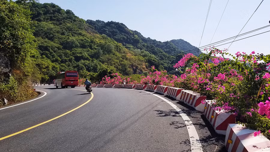 Trên đoạn đường men theo triền núi đá vôi, giáp biển, hoa giấy đua nở trong nắng hanh vàng đầu đông. Ảnh: GIANG LINH