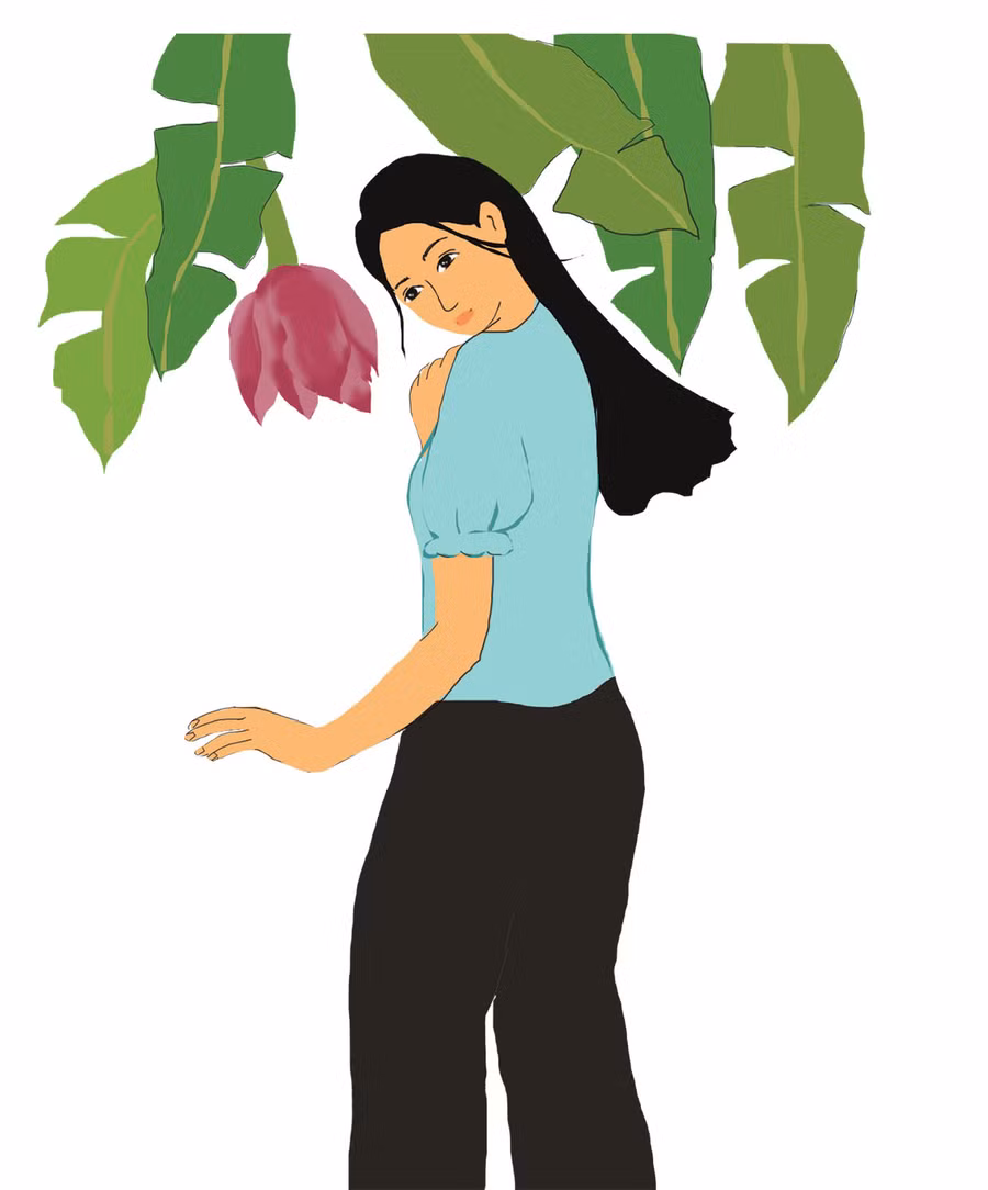 Minh họa: H.T Minh họa: H.T